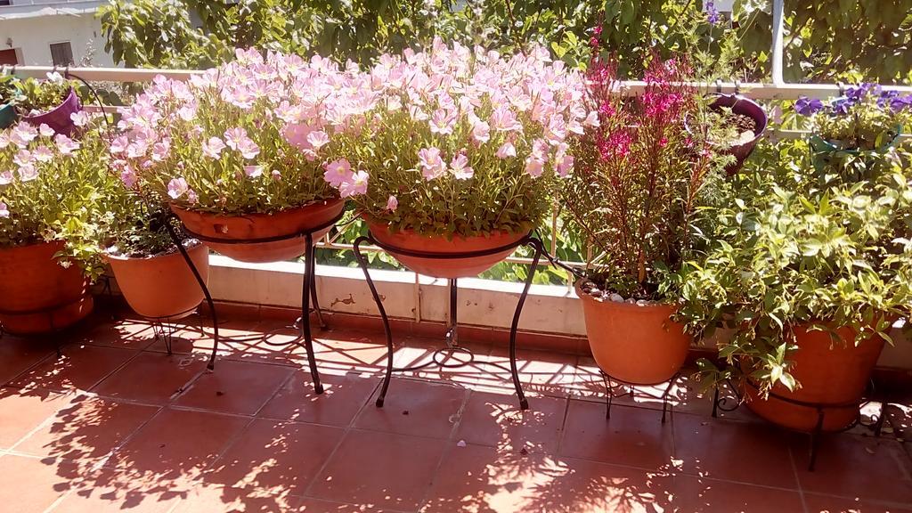 Cozy Maisonette Kamena Vourla Luaran gambar